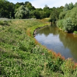 River Teme 18 months after completion