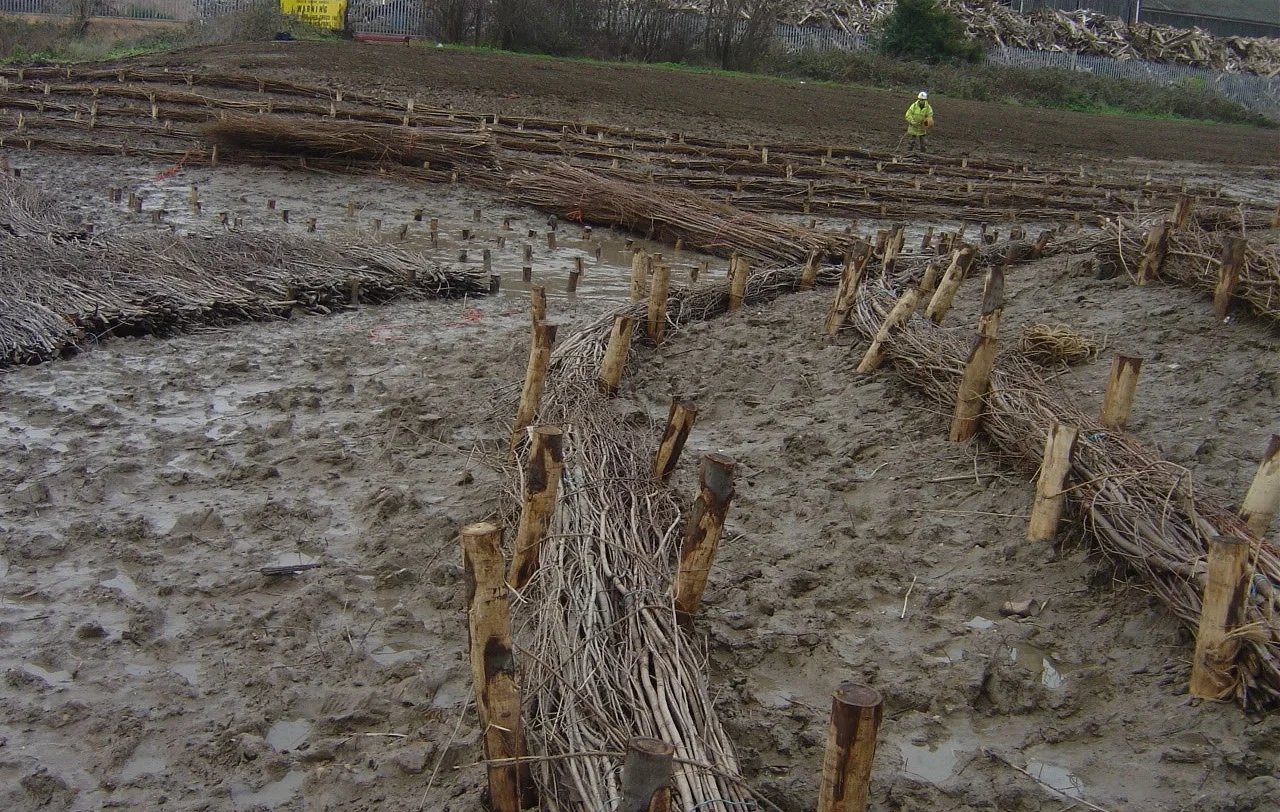 Brushwood Faggots Installed For Silt Accretion