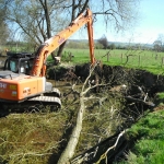 Placing felled branches