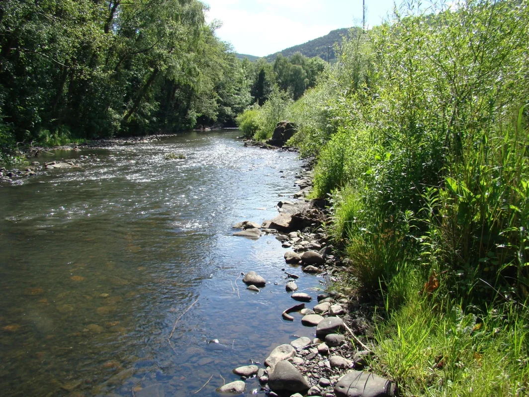 River restoration
