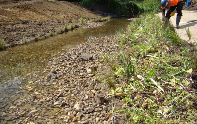 River restoration works