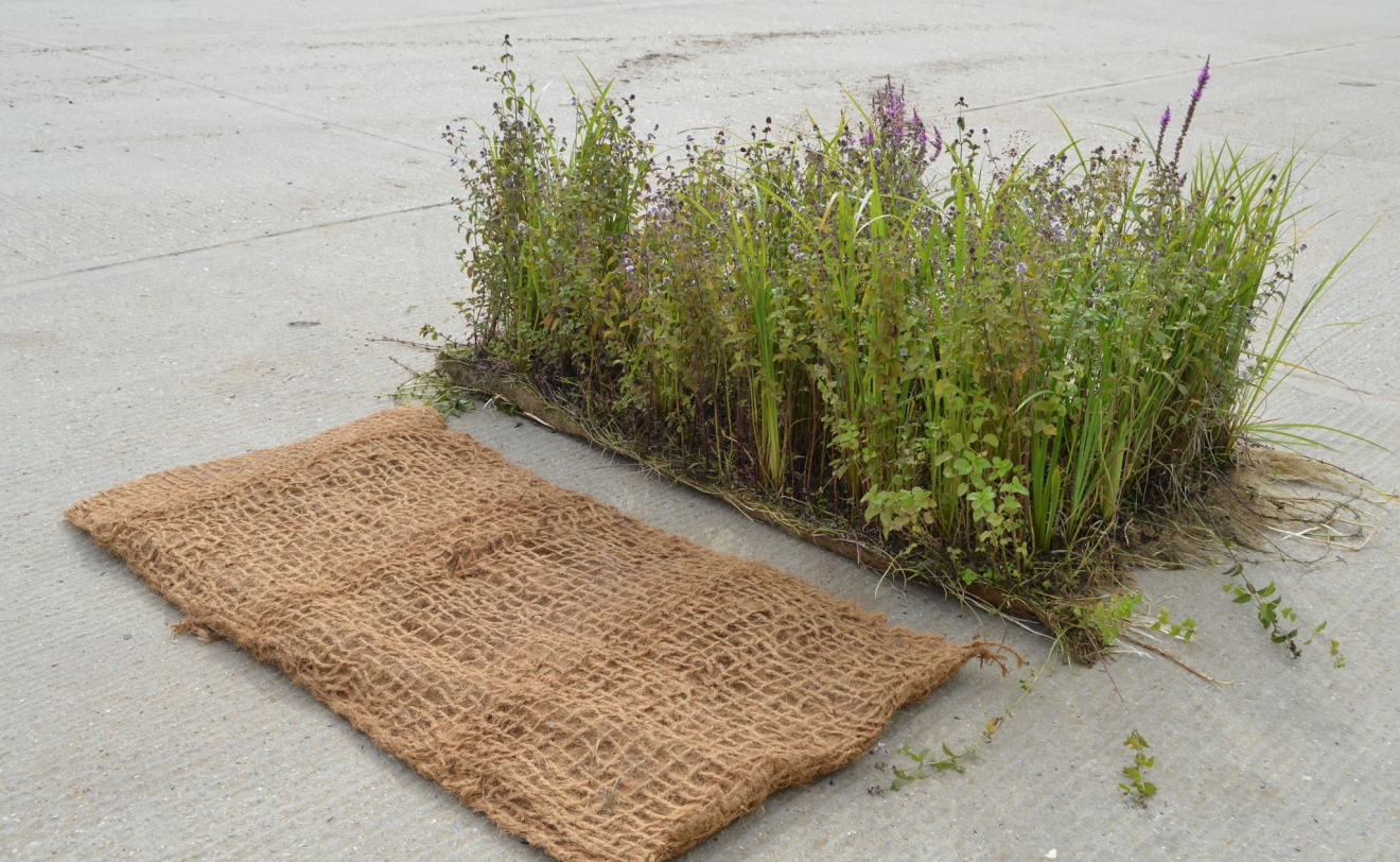 Standard Mix Pre-Established 2mx 1m Coir Pallet & 2m x1m Unplanted Coir Pallet