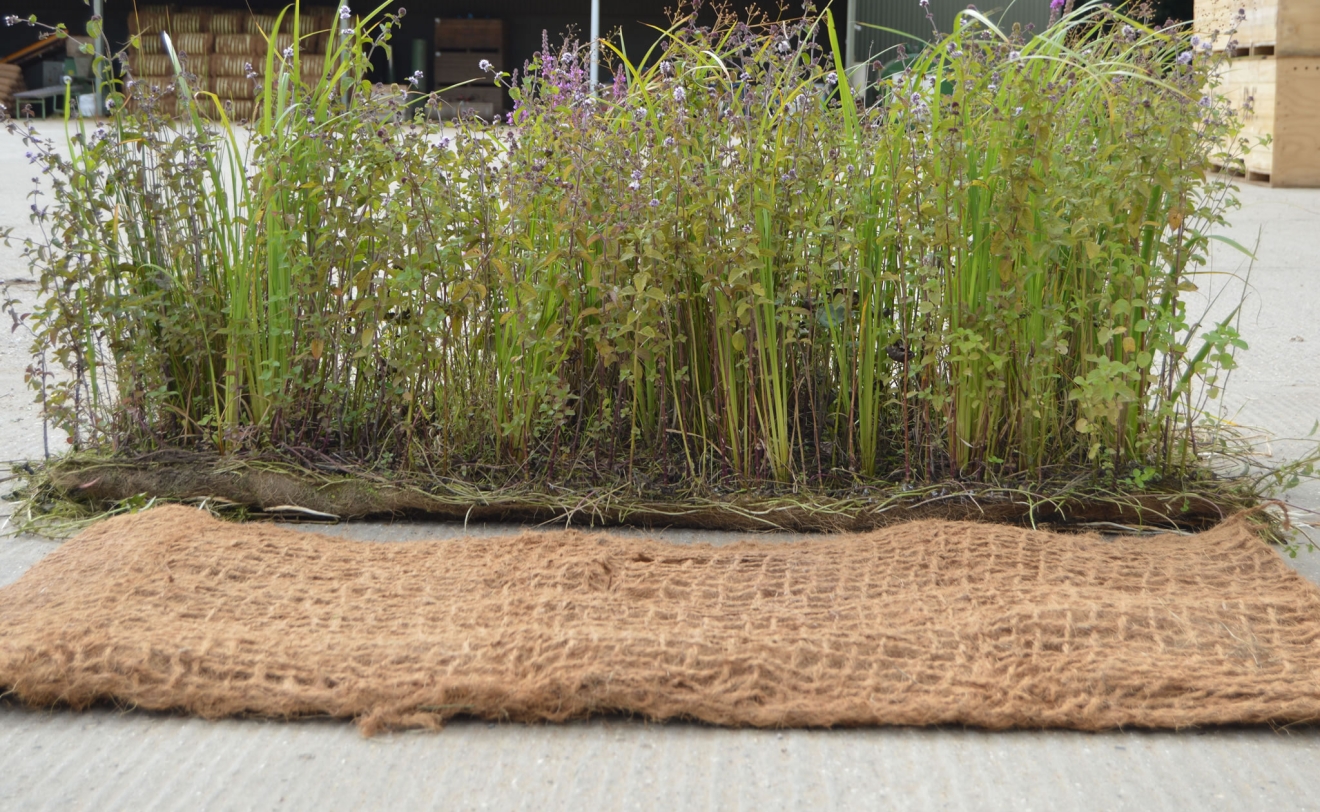 Unplanted and Pre-established Coir Pallet