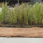 Unplanted and Pre-established Coir Pallet