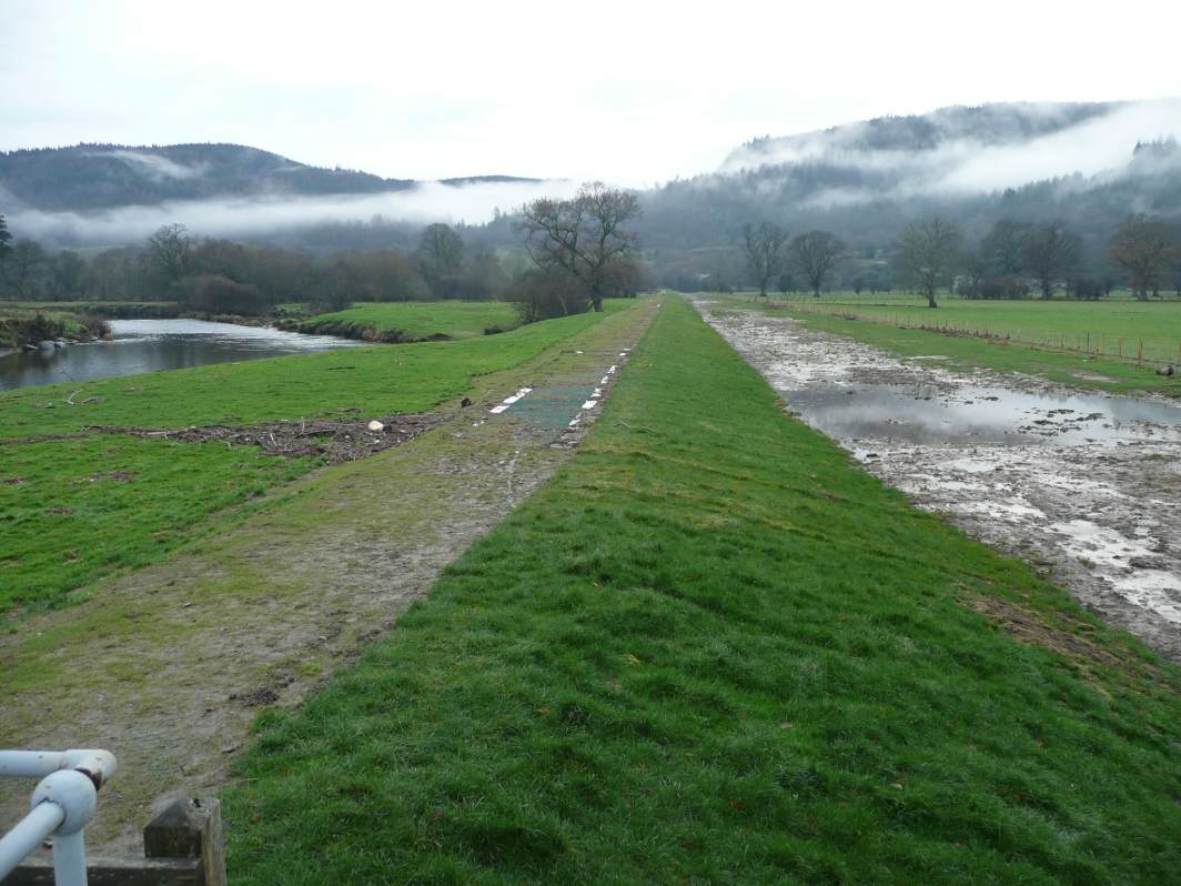 Aftermath Of Flood With Turf