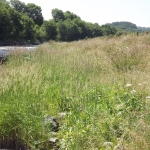 River restoration Avon Gwydol