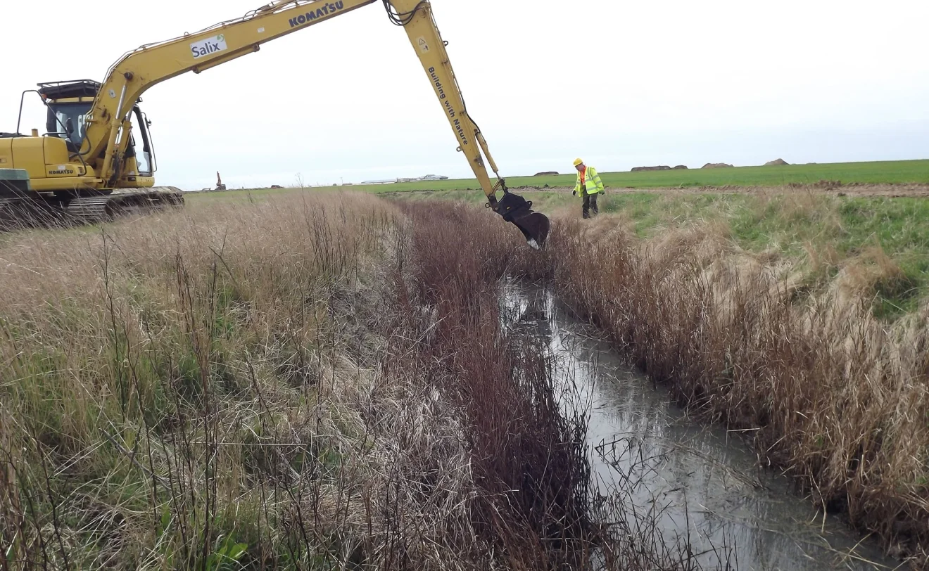 Translocation taking vegetation from donar site