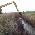 Translocation taking vegetation from donar site