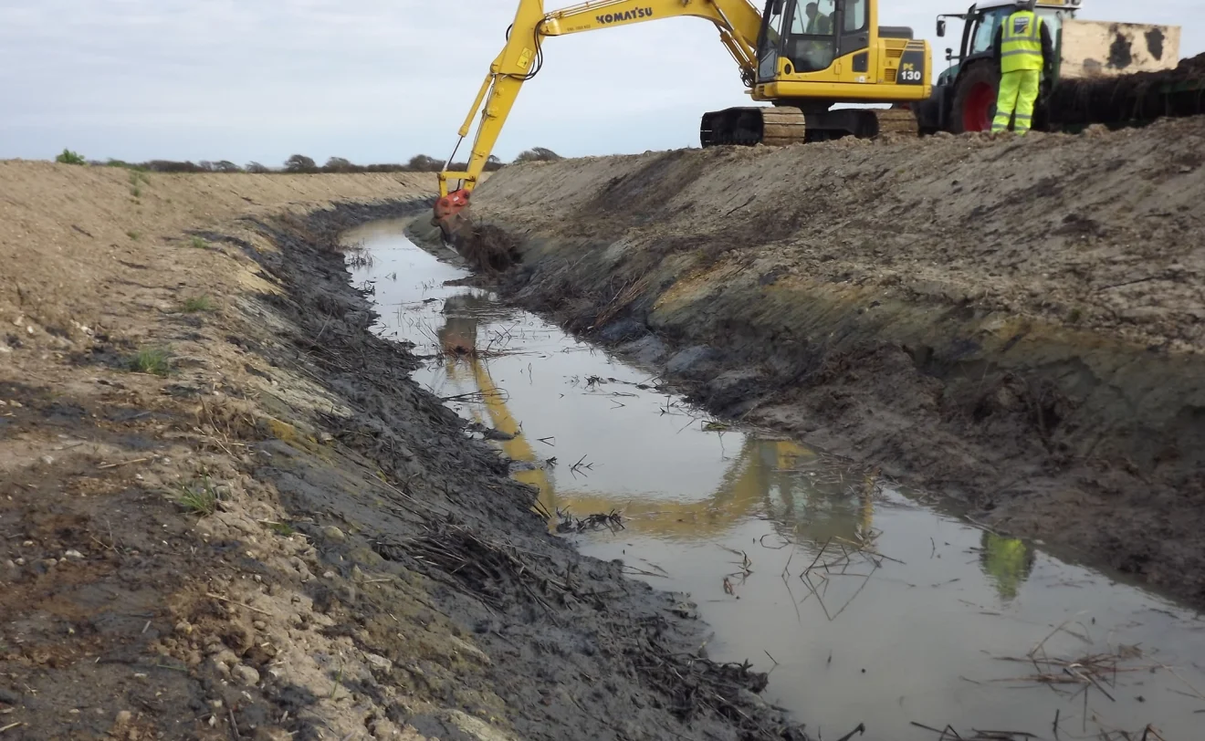 Placing translocated vegetation in the new channels