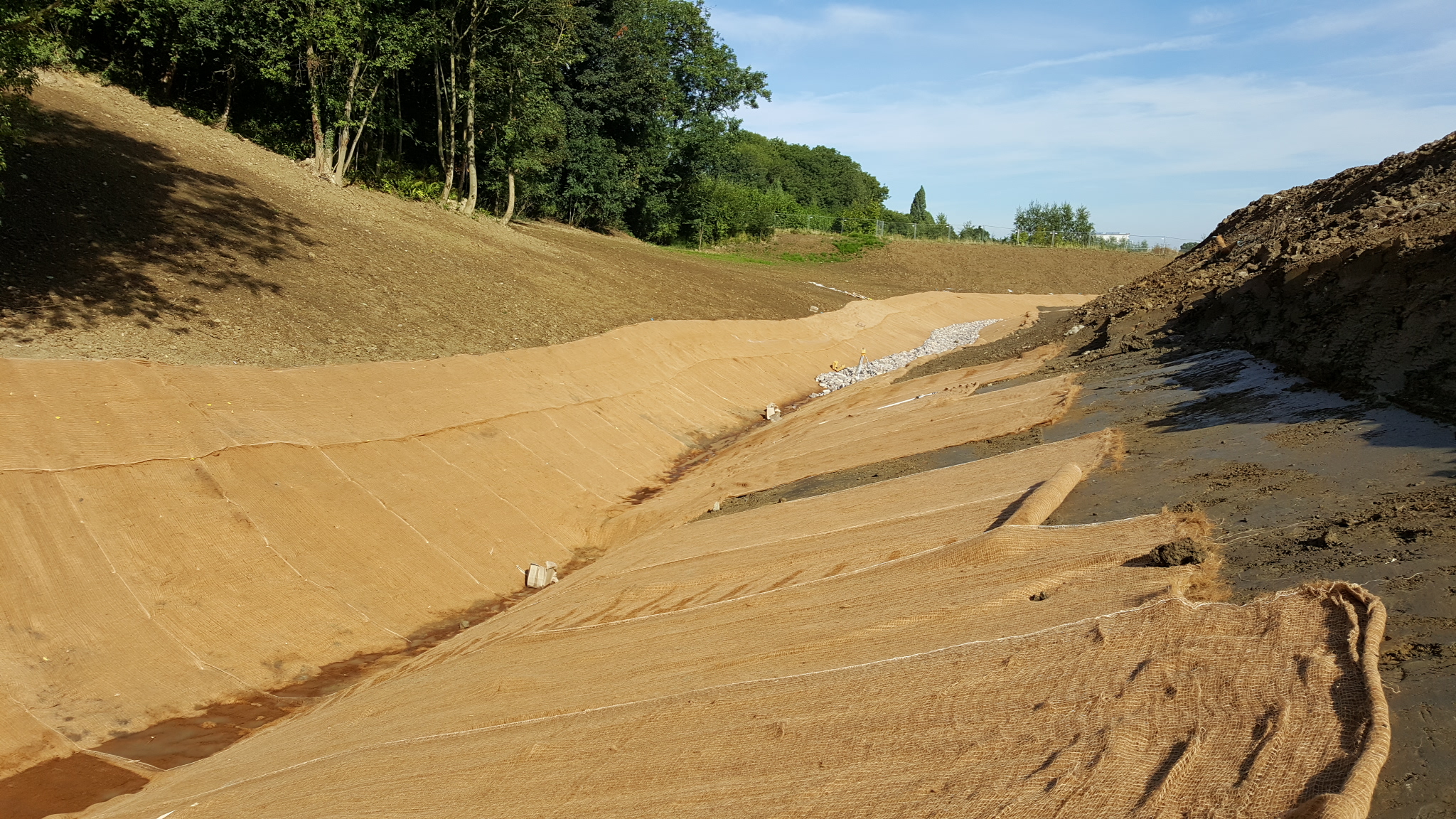 C125BN erosion control blanket Salix