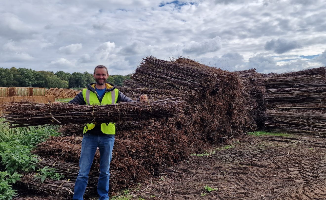 Brushwood fascines for river restoration work2m x 300mm Brushwood Chestnut fascine