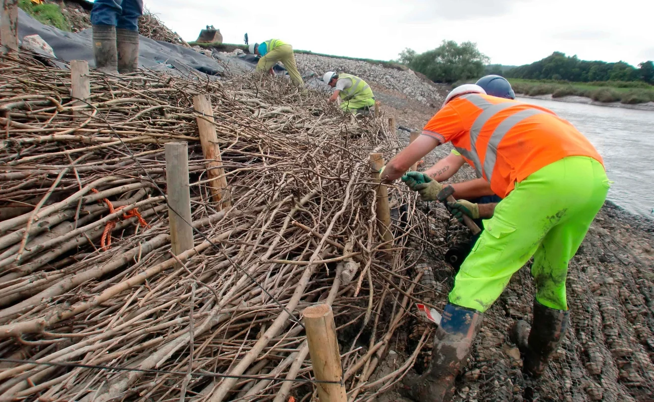 Installing a Brushwood faggot above a Rock Mattress