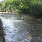 Moderate flow