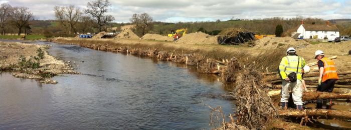 Rescuing the River Rhiw