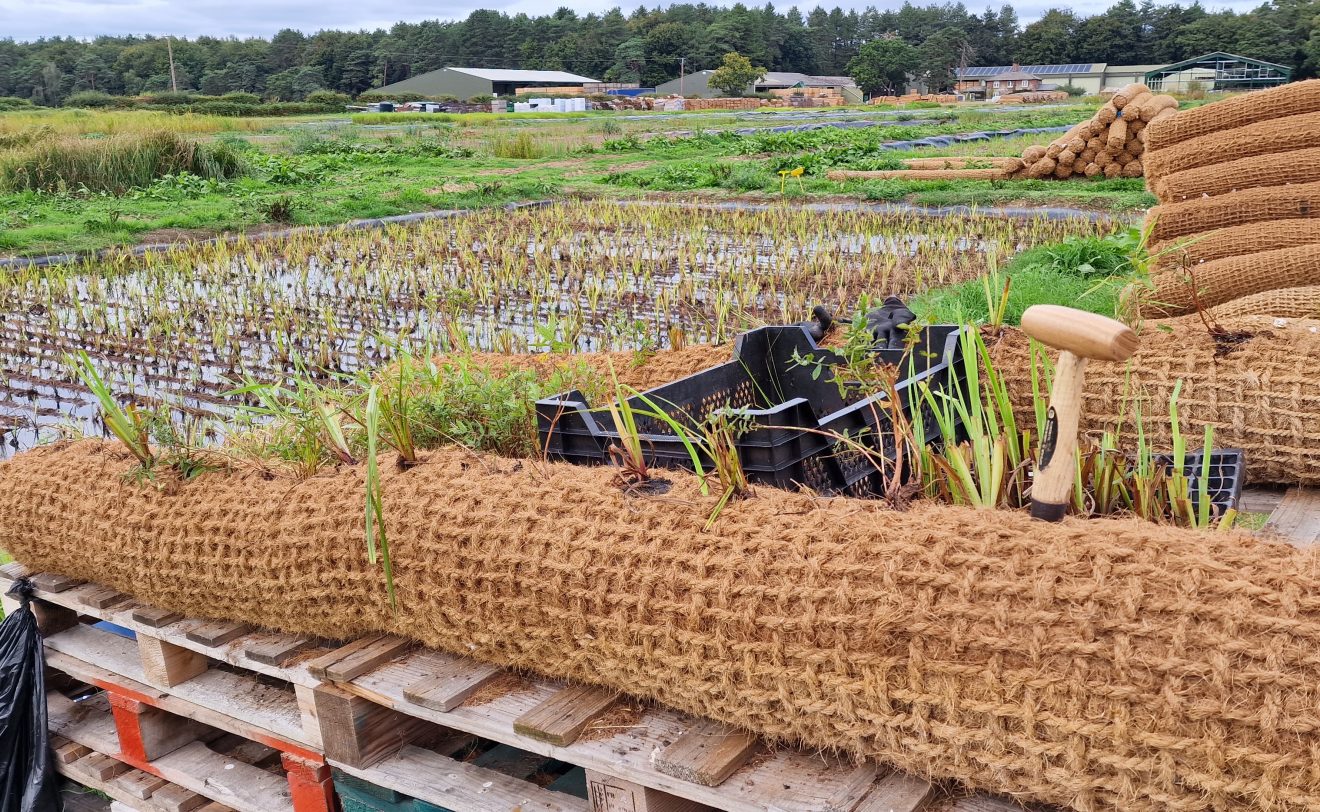 Planted up Coir Rolls with native wetland plants