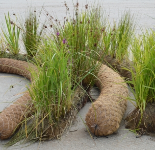 Selection Of Unplanted and Pre-Established 200mm and 300mm Coir Rolls