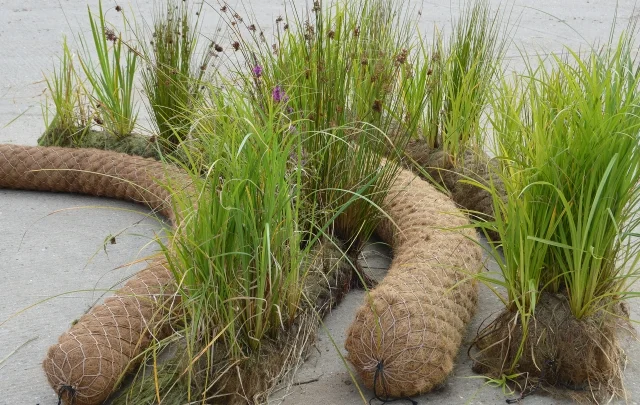 Selection Of Unplanted and Pre-Established 200mm and 300mm Coir Rolls