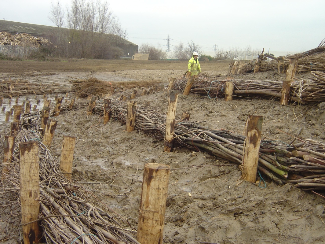 Lines of brushwood fascines are installed run parallel to the contours of the riverbank so that they intercept water and trap sediment. This is critical to enable vegetation to establish. Pre-established coir pallets can be placed in the gaps between the brushwood.