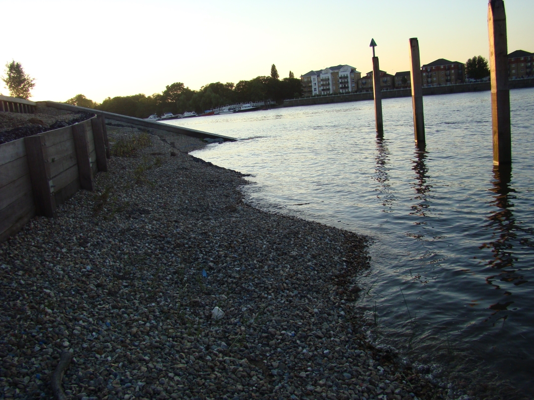 An upper shingle terrace at the confluence of the Rivers Thames and Wandle, London