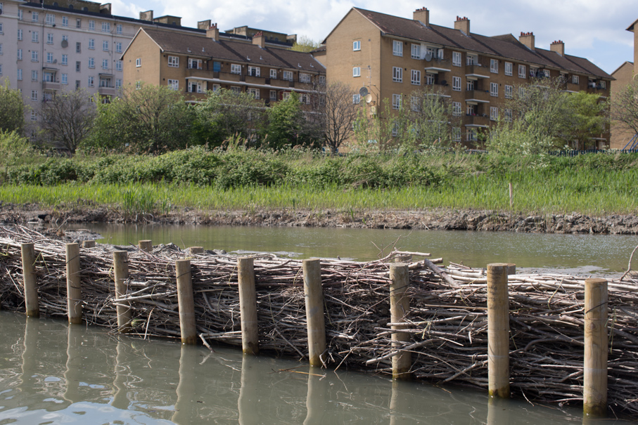 Brushwood fencing to create new wetlands and reedbeds