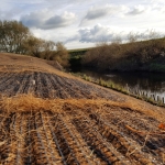 VMax C350 providing instant erosion control and seed protection on banks