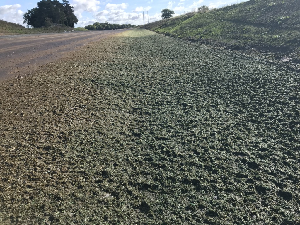 norwich-northern-distributor-road-ndr-swales-over-sprayed-with-terraffix-c-biochar-and-hydracx