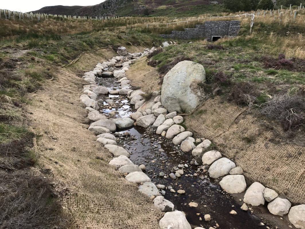 CocoBN biodegradable erosion control blanket Salix