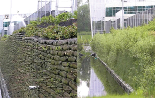FlexMse vegetated retaining wall system before and after shot showing the vegetation