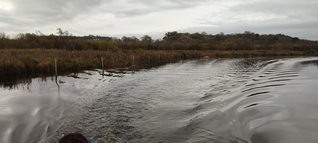 Hoveton restored wetlands