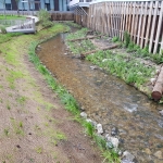River at start of works in May