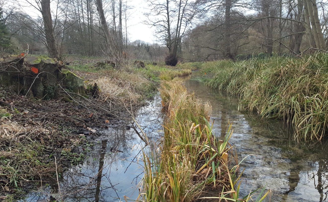 Salix, together with Julia Massey, developed a water vole gutter detail in front of the watervole burrows