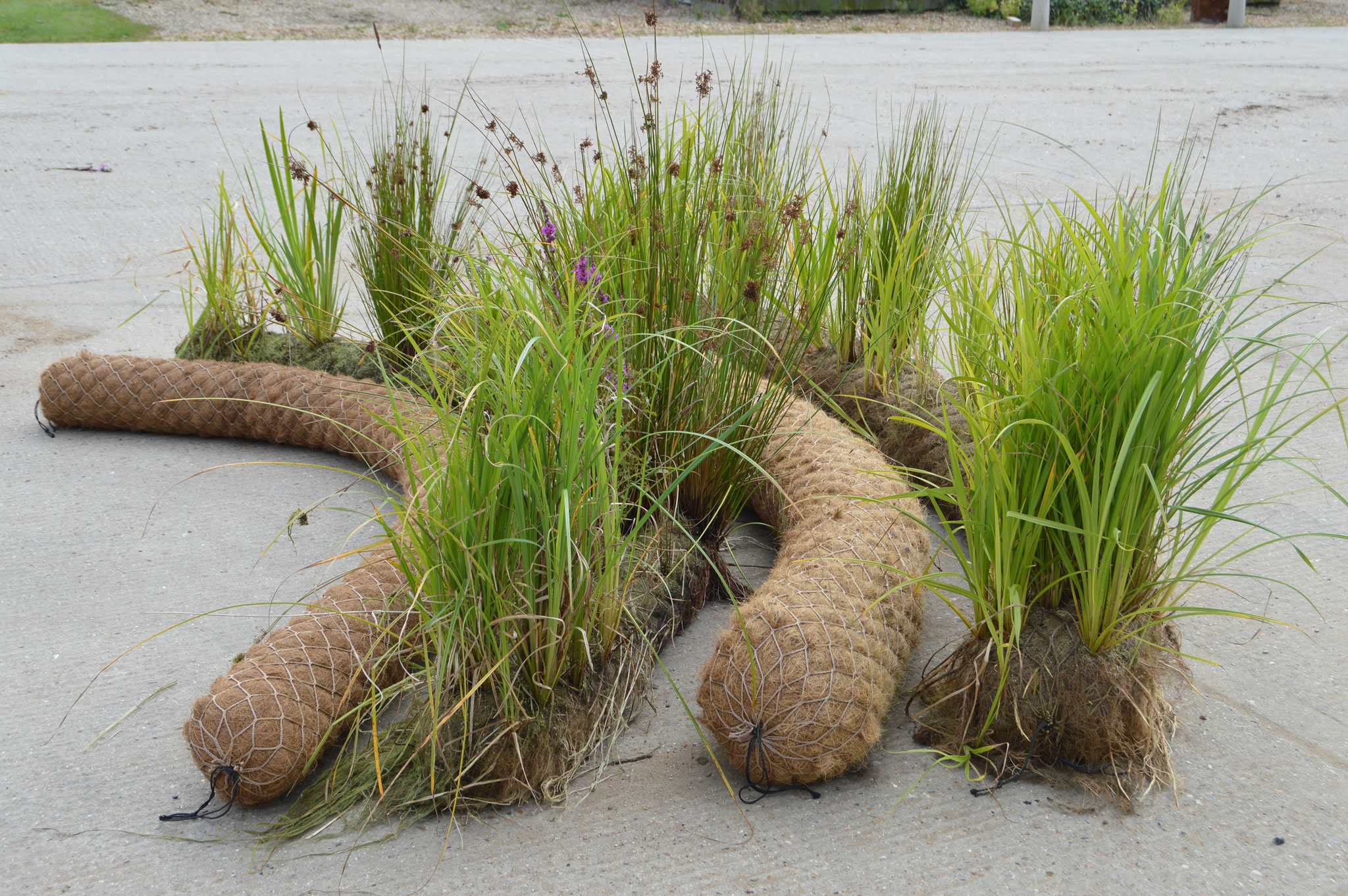 Pre-established Coir Rolls