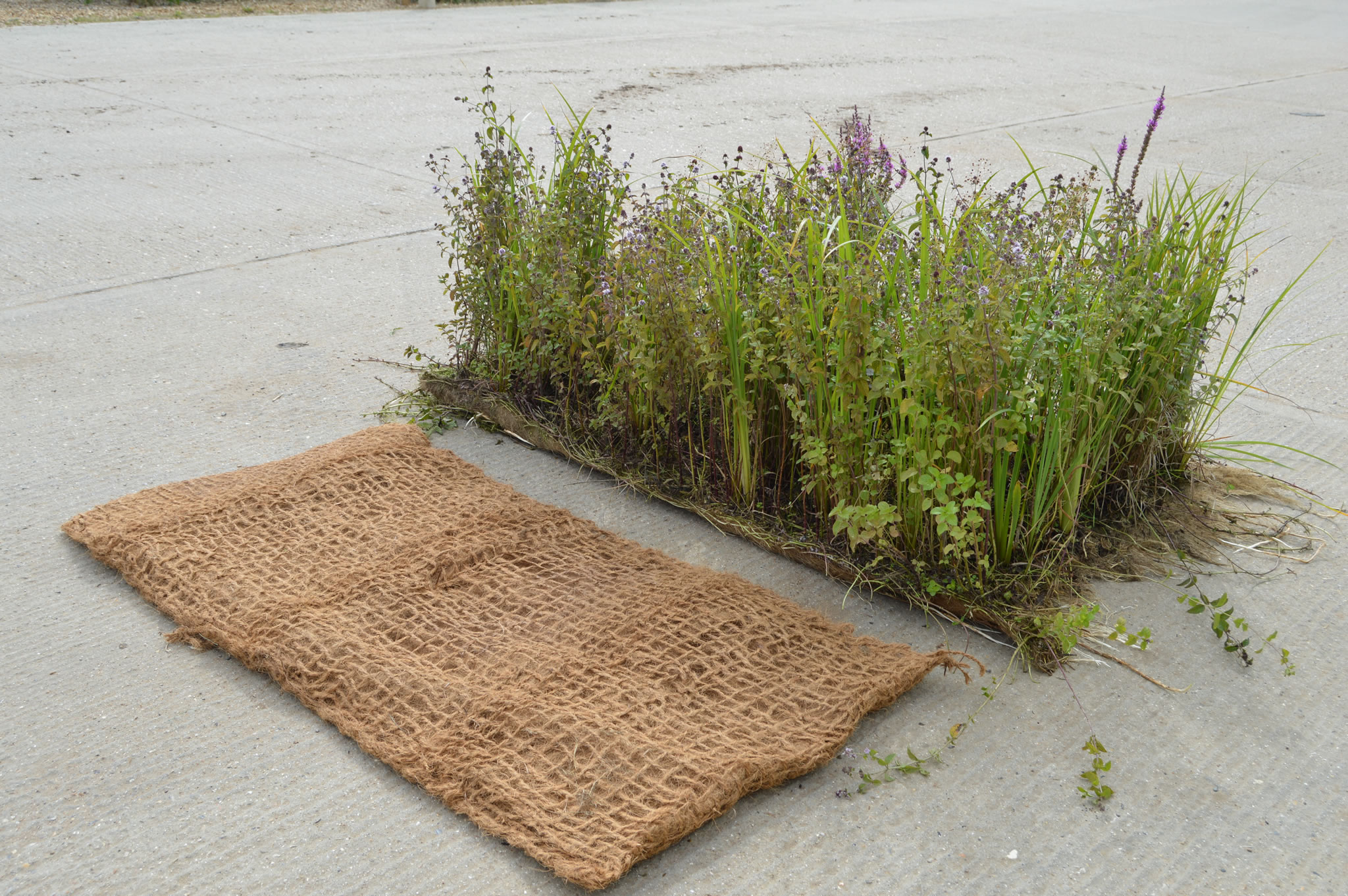 Pre-established Coir Pallets