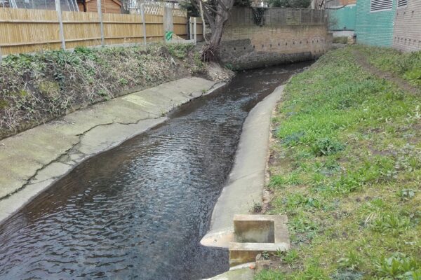 River Quaggy: Lewisham