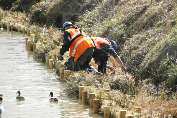 Foss Dyke Bank Stabilisation