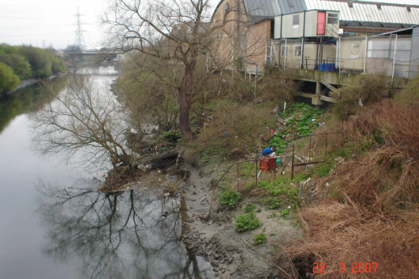 Olympic Park Wetlands