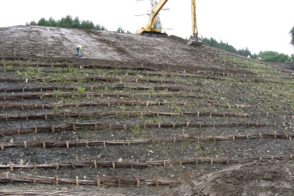 Dan Y Lan Landfill Slip