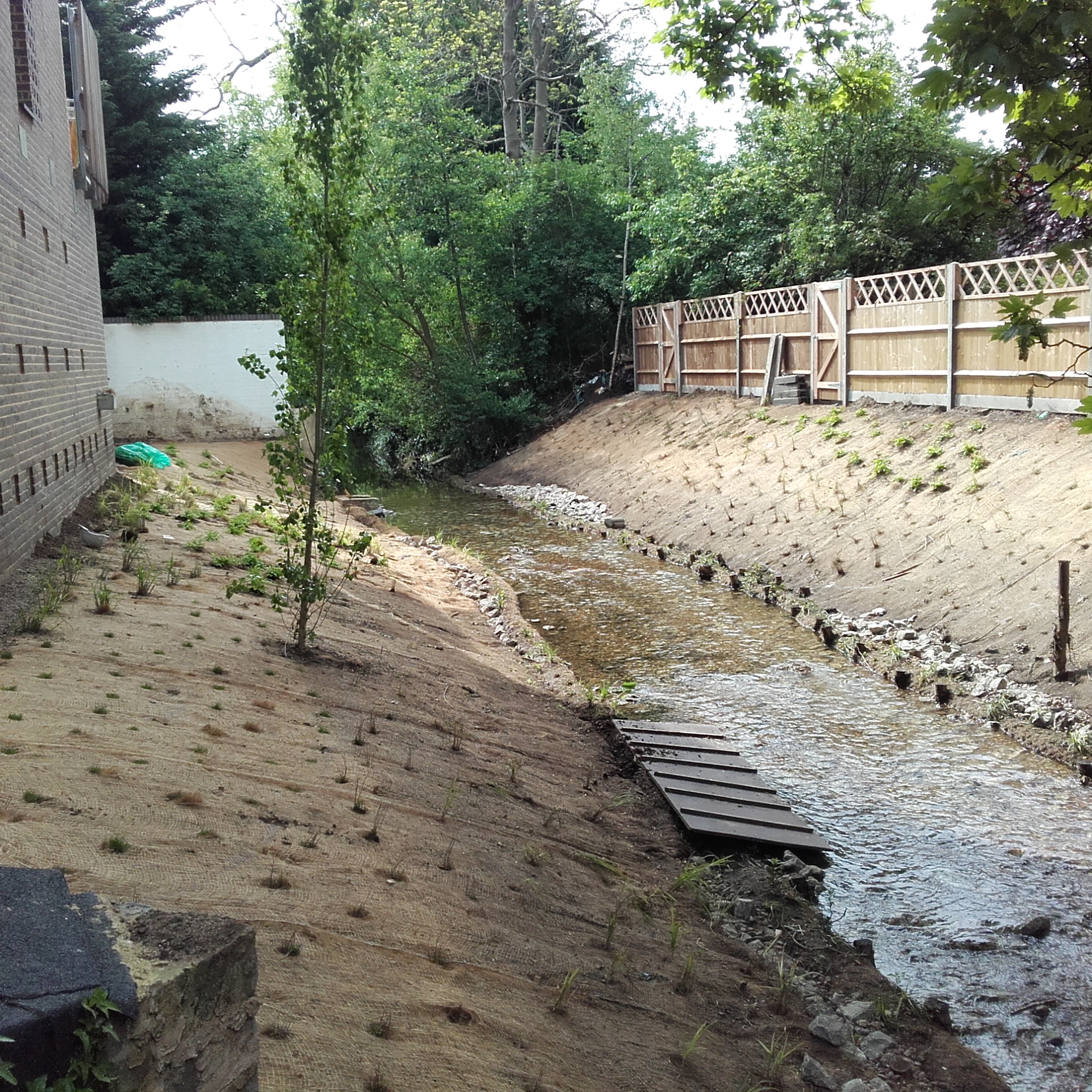 River Quaggy: Lewisham