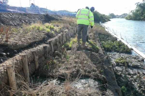 Olympic Park Wetlands