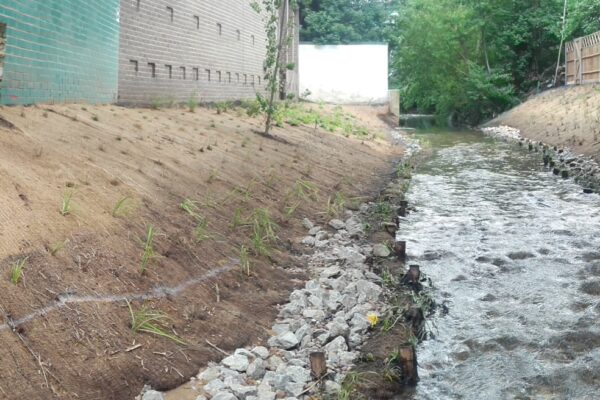 River Quaggy: Lewisham