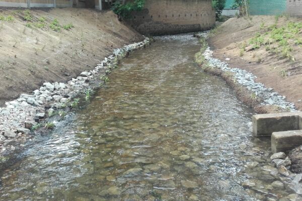 River Quaggy: Lewisham