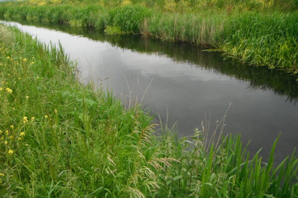 Soham Lode Re-visited