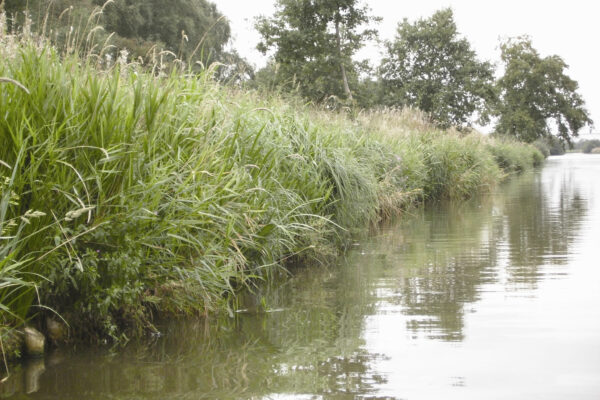 Foss Dyke Bank Stabilisation