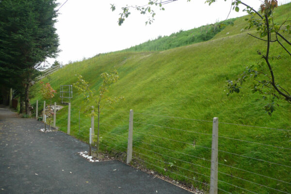 Pewsey Rail Embankment
