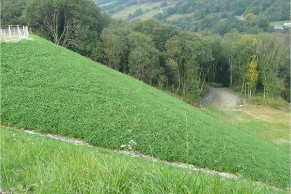 Dan Y Lan Landfill Slip