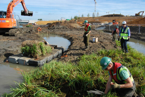 Olympic Park Wetlands