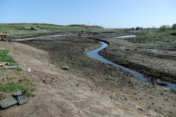 Restoring East Tullos Burn