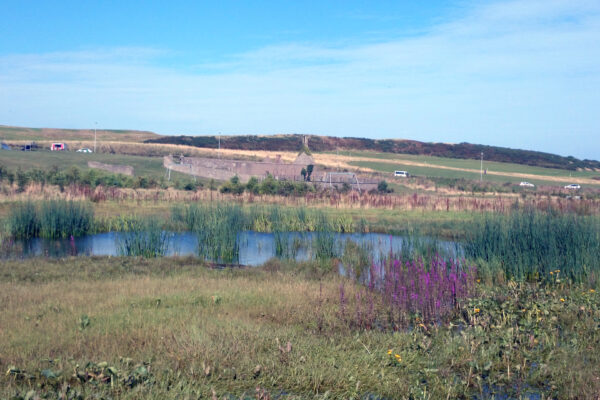 Restoring East Tullos Burn