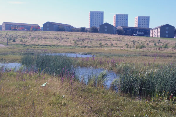 Restoring East Tullos Burn