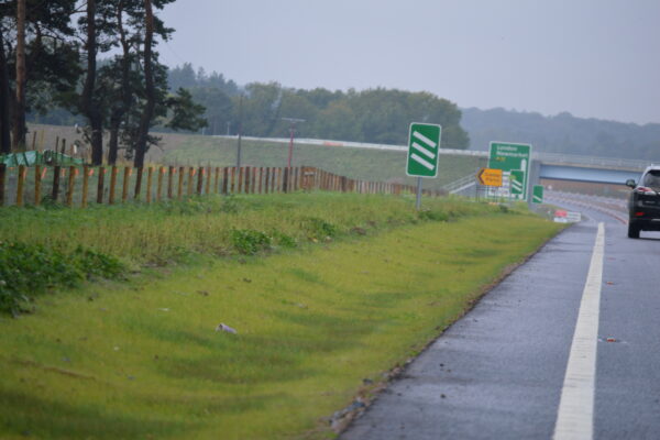 Green swales on roadside